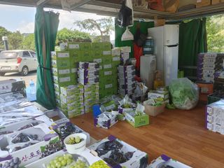 오용석님의 팜모닝 · 출석 작성글 사진