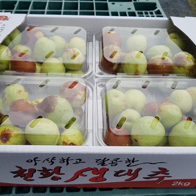 마이산늘봄농원님의 장터 판매 상품 [사과대추 45,000/2kg] 첨부 사진