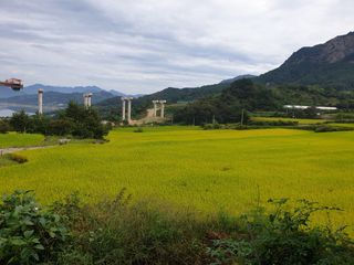 허굴산농장님의 팜모닝 · 출석 작성글 사진