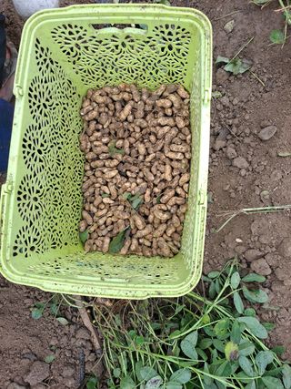 김종헌님의 팜모닝 · 출석 작성글 사진