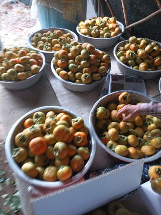 노상천님의 작성글 사진