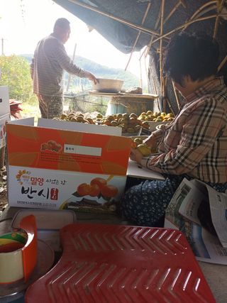 노상천님의 작성글 사진