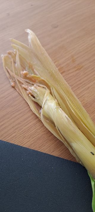 수제비뜨기님의 옥수수 · 병해충상담 작성글 사진