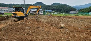 이철건님의 배추 · 병해충상담 작성글 사진