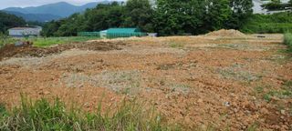 이철건님의 배추 · 병해충상담 작성글 사진