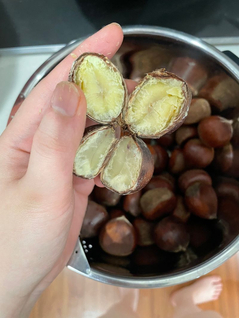 장터 상품 [🌰밤 사먹은 후기  블루베리26813님이 올린 햇밤 ] 썸네일