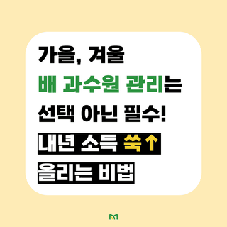 배 농사도우미님의 배 · 수확 작성글 사진