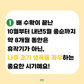 배 농사도우미님의 배 · 수확 작성글 사진