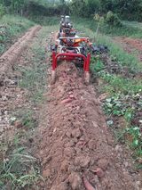 팜모닝 배·일상 게시글 이미지