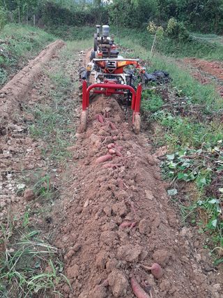 서영옥님의 배 · 일상 작성글 사진