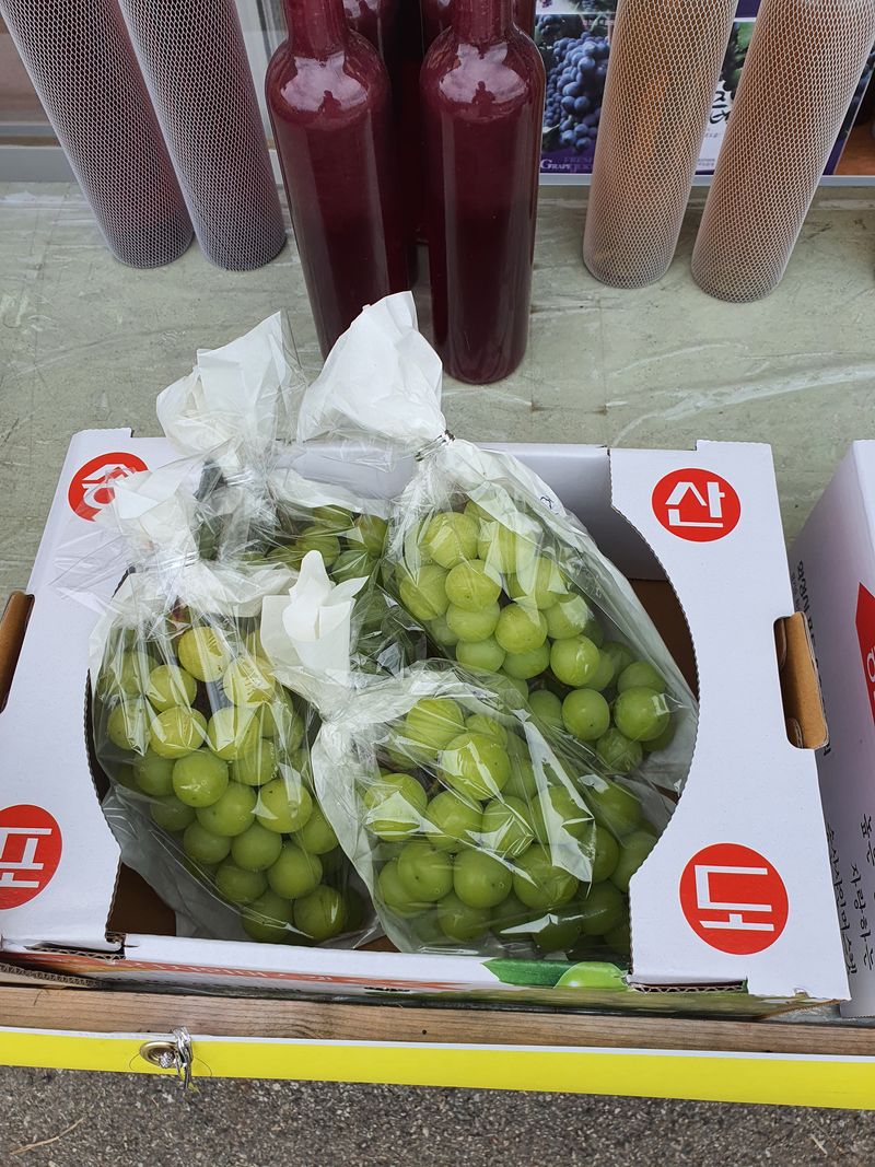 서경진님의 장터 판매 상품 [샤인 머스컷 2kg. 25,000원] 첨부 사진