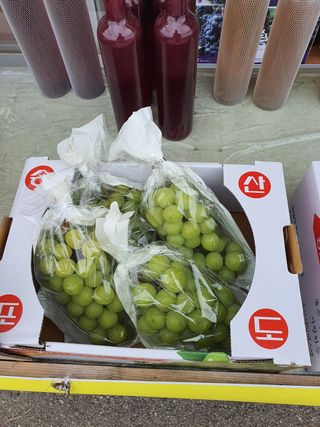 서경진님의 작성글 사진