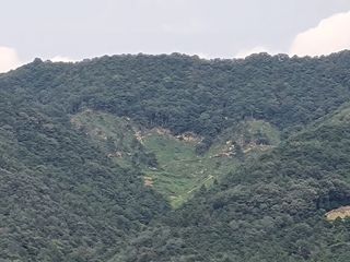 박상석님의 팜모닝 · 출석 작성글 사진