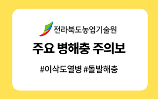 병해충 알리미님의 고추 · 병해충상담 작성글 사진