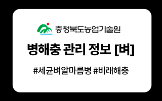 병해충 알리미님의 벼 · 병해충상담 작성글 사진