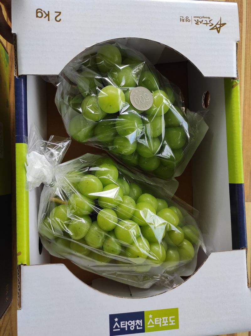 장터 상품 [샤인머스켓 27500~69000] 썸네일