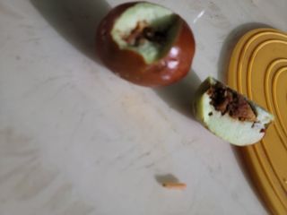 한수열님의 기타작물 · 병해충상담 작성글 사진