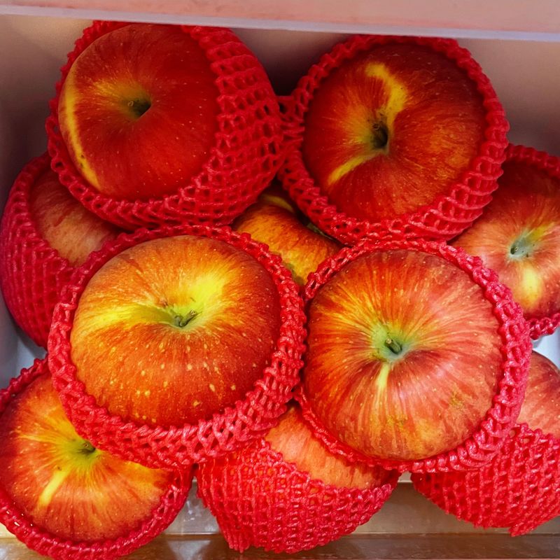 알 수 없음님의 장터 판매 상품 [🍎사과구매후기 거창현은농원에서 구매했습니다ㅋ 사과 싱] 첨부 사진