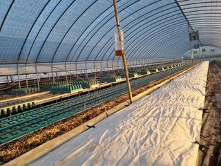 박상석님의 팜모닝 · 출석 작성글 사진