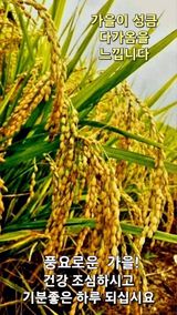 팜모닝 호박·자유게시판 게시글 이미지