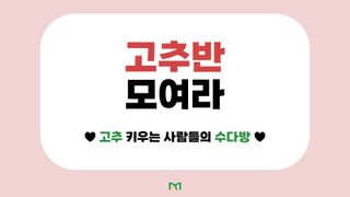 고추 농사도우미님의 고추 · 일상 작성글 사진