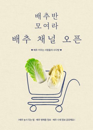 배추 농사도우미님의 배추 · 일상 작성글 사진