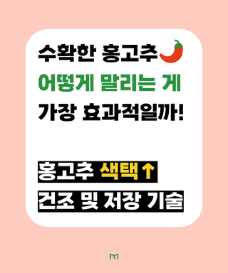 고추 농사도우미님의 고추 · 저장•가공 작성글 사진