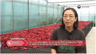 고추 농사도우미님의 고추 · 저장•가공 작성글 사진
