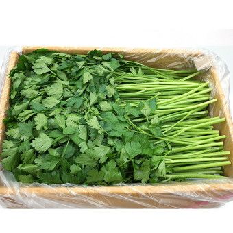 장터 상품 [논산 허브] 썸네일