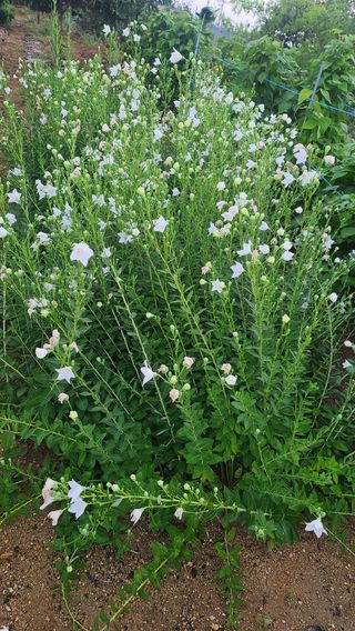 이용우님의 팜모닝 · 출석 작성글 사진