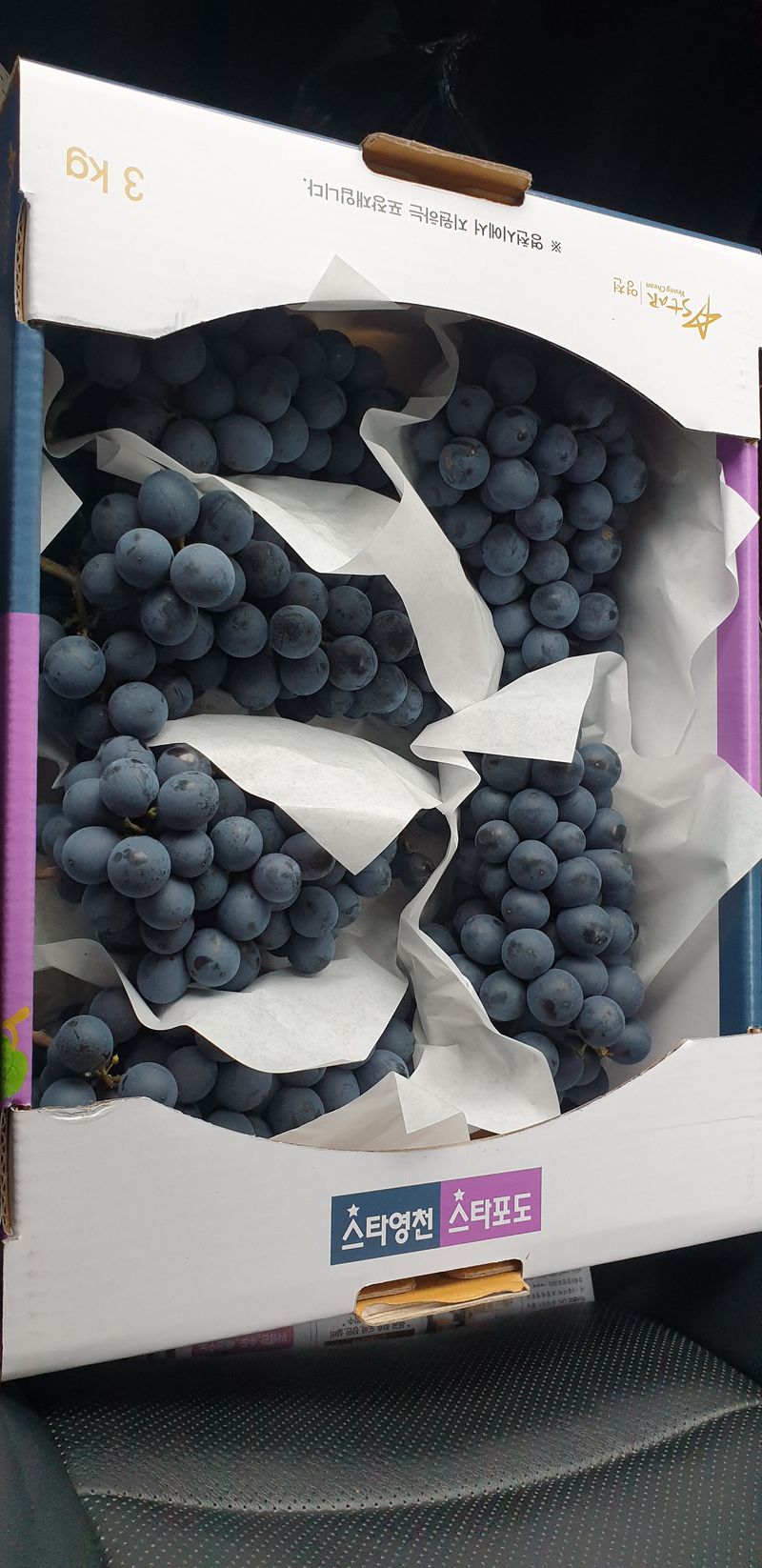 장터 상품 [머루포도 3kg 20,000] 썸네일