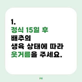 배추 농사도우미님의 배추 · 비료•농약 작성글 사진