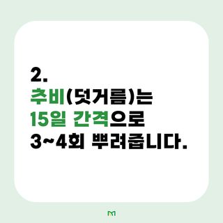 배추 농사도우미님의 배추 · 비료•농약 작성글 사진