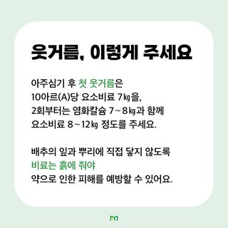 배추 농사도우미님의 배추 · 비료•농약 작성글 사진