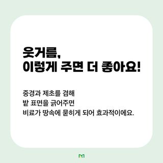 배추 농사도우미님의 배추 · 비료•농약 작성글 사진