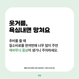 배추 농사도우미님의 배추 · 비료•농약 작성글 사진