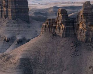 알 수 없음님의 감 · 자유게시판 작성글 사진