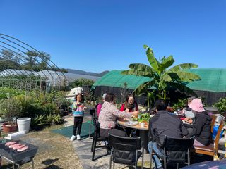 토마토7949님의 토마토 · 일상 작성글 사진