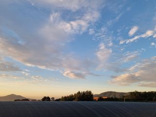 박상석님의 팜모닝 · 출석 작성글 사진