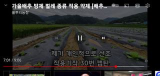 김석건님의 팜모닝 · 출석 작성글 사진