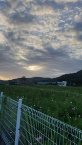 팜모닝 팜모닝·출석 게시글 이미지