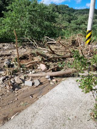 김종태 님의 팜모닝 · 출석 작성글 사진