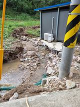 팜모닝 팜모닝·출석 게시글 이미지