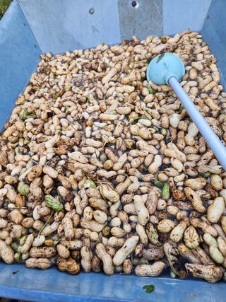 Preotu님의 팜모닝 · 출석 작성글 사진