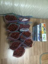 팜모닝 · 게시글 이미지