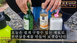 배추 농사도우미님의 배추 · 병해충상담 작성글 사진
