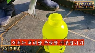 배추 농사도우미님의 배추 · 병해충상담 작성글 사진