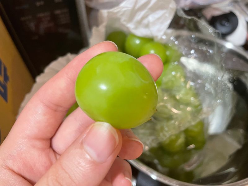 장터 상품 [샤인머스켓 구매 후기~^^ 알이 정말 크고 맛도 좋습니] 썸네일