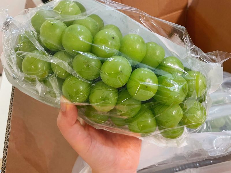 심규영님의 장터 판매 상품 [샤인머스켓 구매 후기~^^ 알이 정말 크고 맛도 좋습니] 첨부 사진