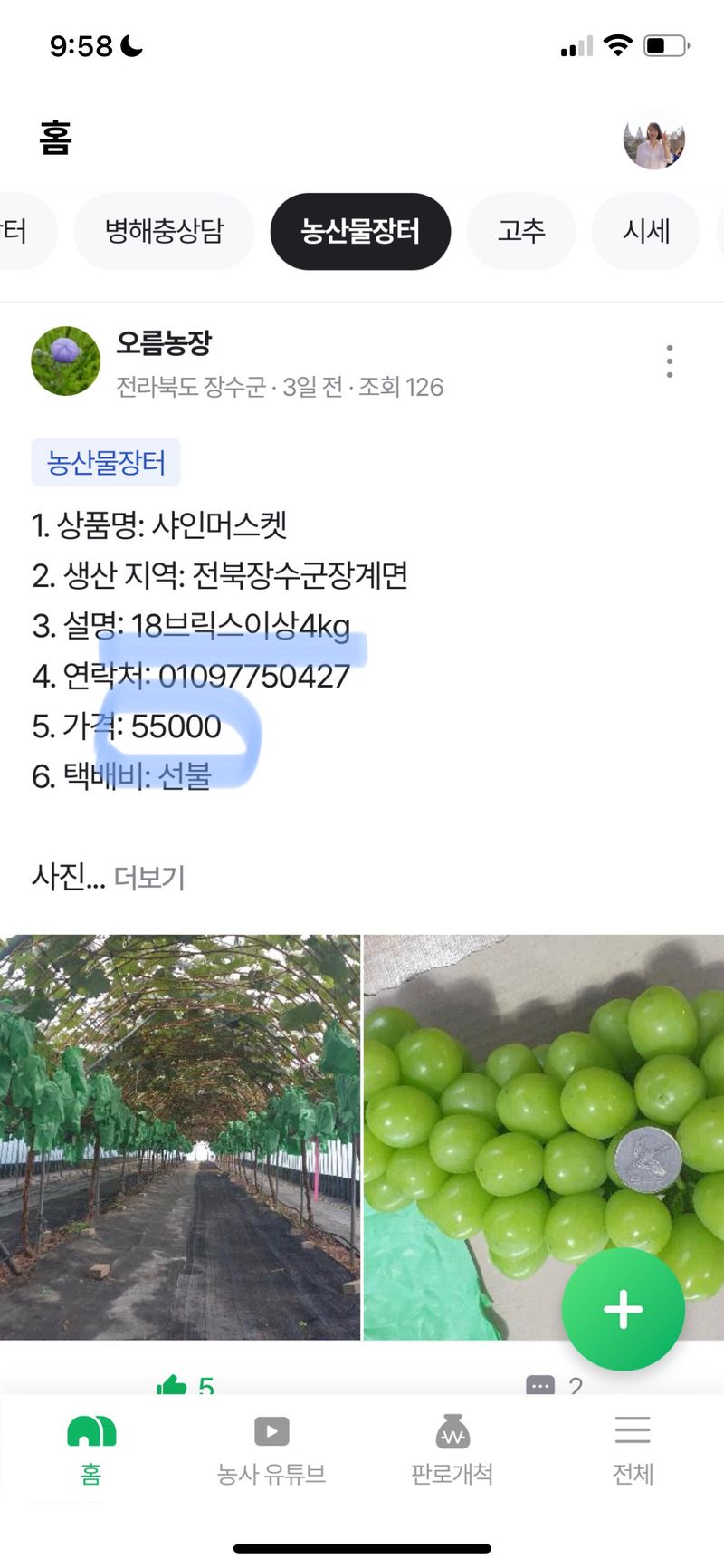 심규영님의 장터 판매 상품 [샤인머스켓 구매 후기~^^ 알이 정말 크고 맛도 좋습니] 첨부 사진